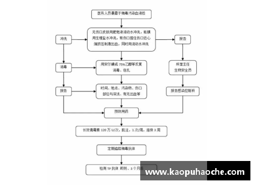 NBA选秀流程解析及其影响因素